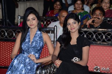 Its My Life Movie Audio Launch